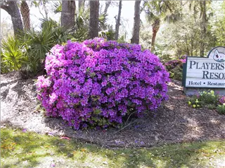 small_172-7220_IMG (5).webp